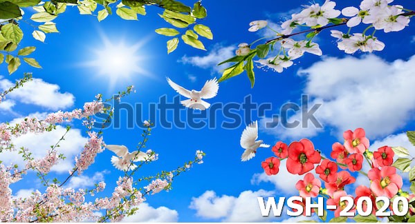 Dán trần trời xanh và hoa WSH-2020